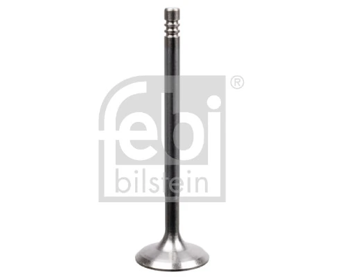 Intake Valve